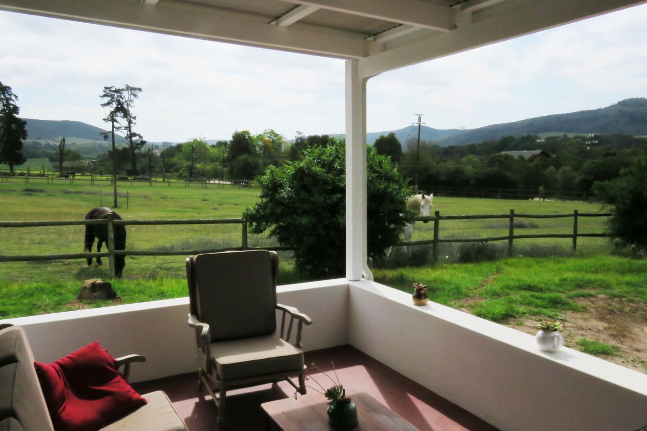 Out Of Plett Villa Plettenberg Bay Exterior foto