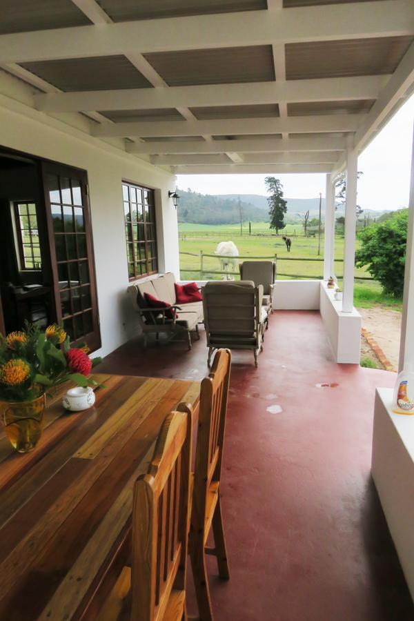 Out Of Plett Villa Plettenberg Bay Exterior foto